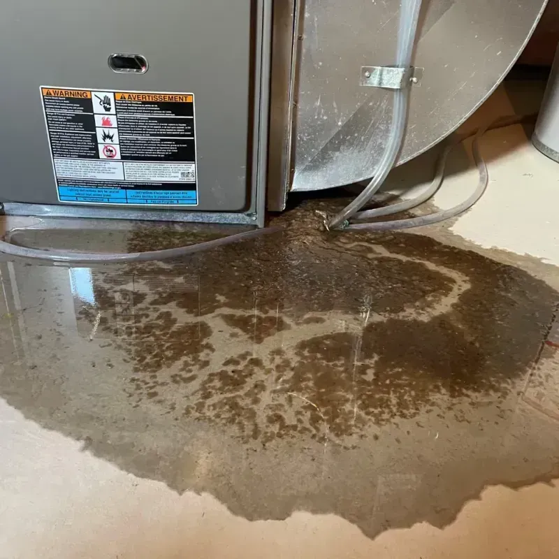 Appliance Leak Cleanup in Carson, WA